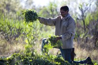 ICMBio lança maior evento sobre sociobiodiversidade do Pará