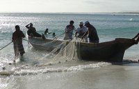 ICMBio lança mecanismo inédito de credenciamento nacional de OSCs