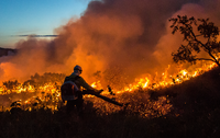 ICMBio lança série nas redes sociais sobre Manejo Integrado do Fogo