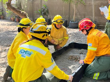 Mulheres que atuam no combate a incêndios florestais