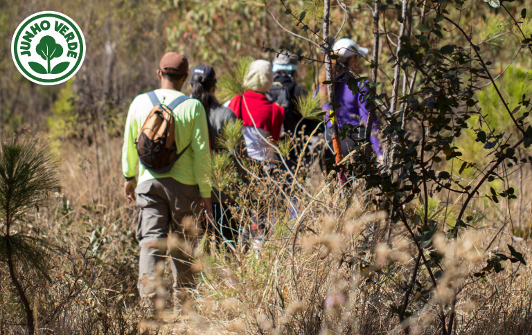 SITE - 047_flona_brasilia_Bruno Bimbato.png