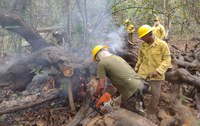 Incêndio florestal é controlado na Resex do Baixo Rio Branco-Jauaperi
