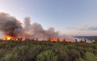Incêndio na Serra do Candombá: fogo foi controlado por brigadistas, mas ainda corre risco de voltar