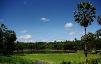 Instituto Chico Mendes anuncia consulta pública para criação de MONA do Piató e ampliação da Flona de Açu, no RN