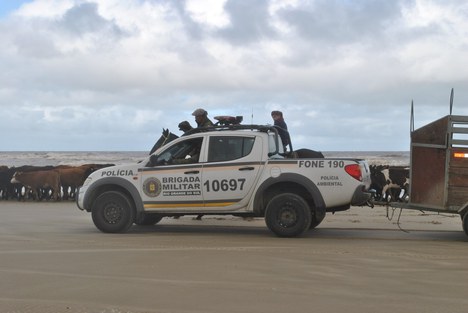 Foto: Estação Ecológica do Taim