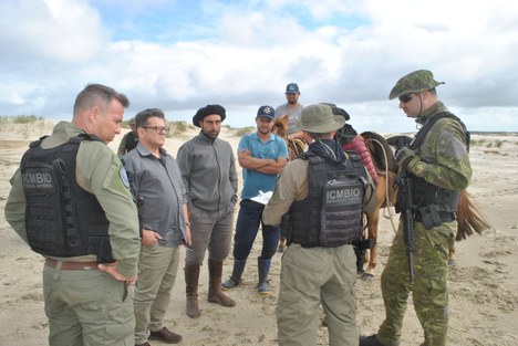 Foto: Estação Ecológica do Taim
