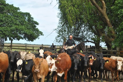 Foto: Estação Ecológica do Taim