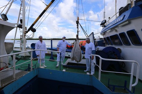 Foto: Acervo Ministério da Pesca e Aquicultura 