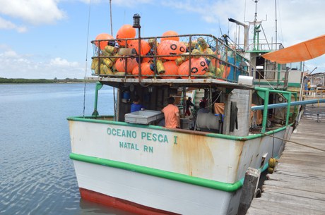 Foto: Giovani Monteiro