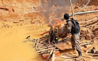 Instituto Chico Mendes e forças policiais realizam operação contra o crime ambiental em unidades de conservação em Rondônia