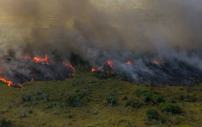 SITE Guto Dauster Prevfogo.Ibama.png