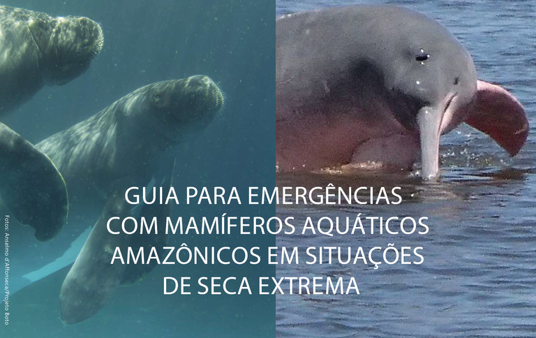 Guia para Emergências com Mamíferos Aquáticos Amazônicos em Situações de Seca Extrema_Prancheta .png