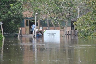 Foto: Laís Ohara e equipe Flona do Amapá