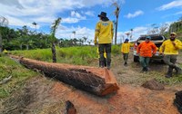 Instituto Chico Mendes se prepara para início de temporada crítica de incêndios florestais em Roraima