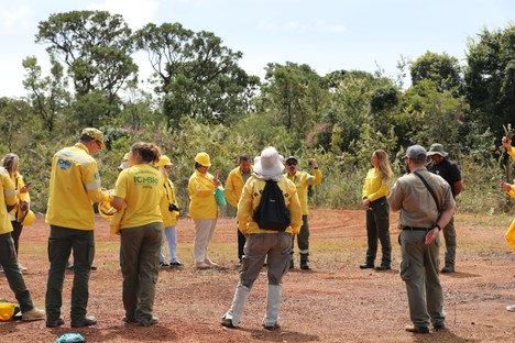 Foto: Camila Saldanha 