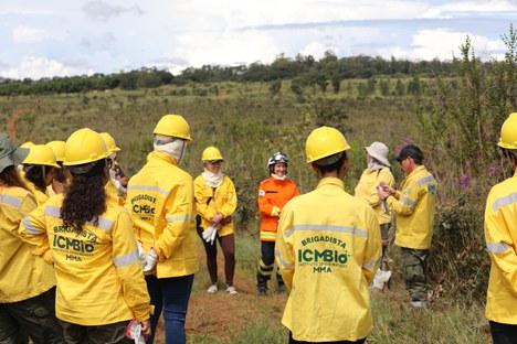 Foto: Camila Saldanha 
