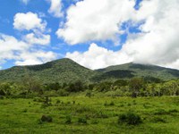 Justiça Federal homologa termo de compromisso entre ICMBio e indígenas na Reserva Biológica Bom Jesus (PR)