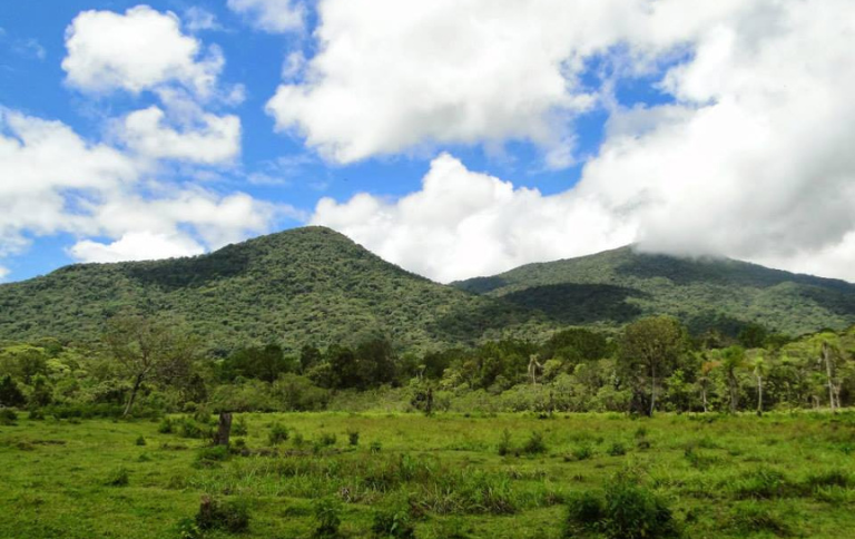 SITE Monia Laura Faria Fernandes ICMBio.png