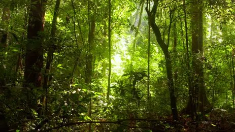 Nos caminhos dos viajantes