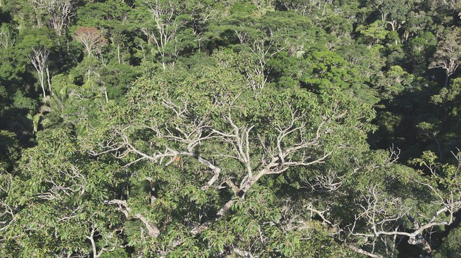 Foto: Fabiano de Melo