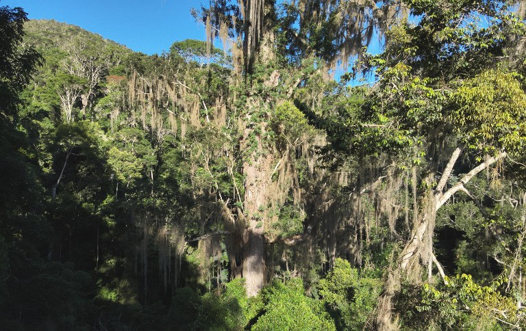 DJI_20250219070743_0009_V SITE.jpg