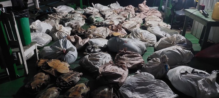 Foto: Acervo NGI Novo Airão