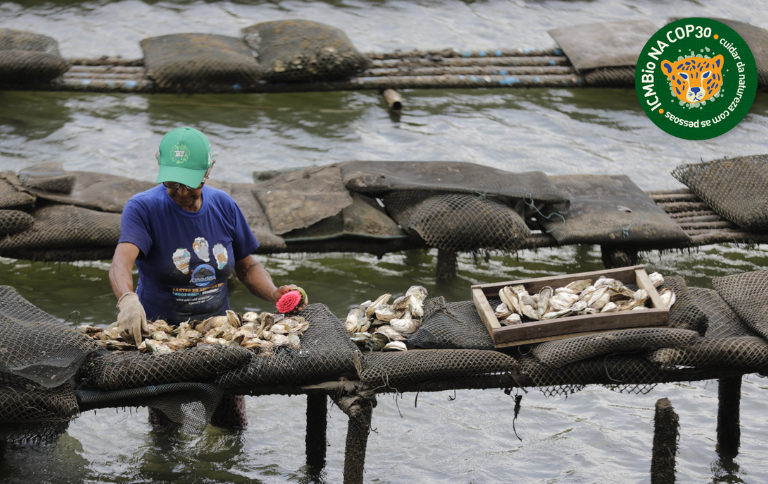 SITEMangue, ciência e tradição ICMBio promove visita à Resex Mãe Grande do Curuçá durante a COP30.png