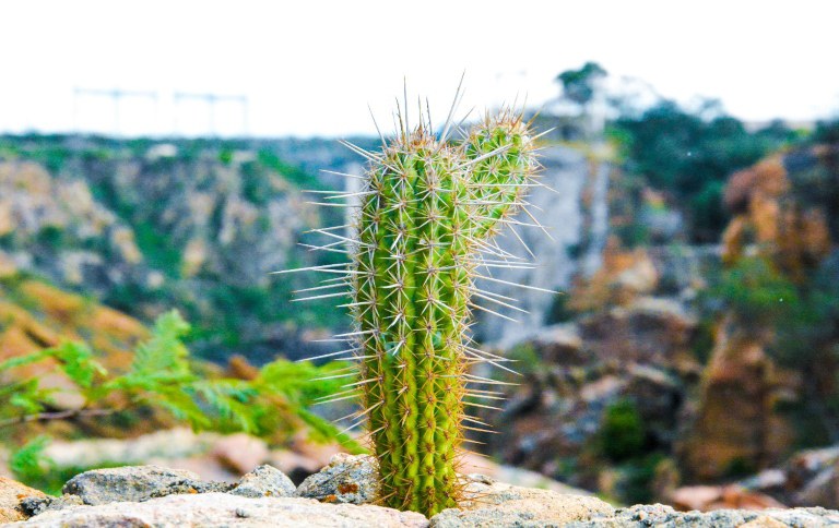 MicrosoftTeams-image (72).jpg