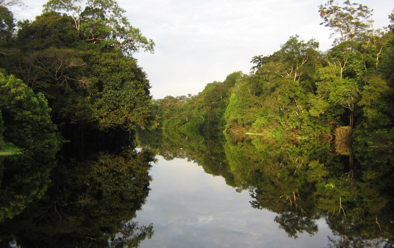 SITE esec_jutaisolimoes_Daniel Paes Resende.png