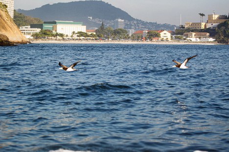 Foto: Rebeca Hoefler