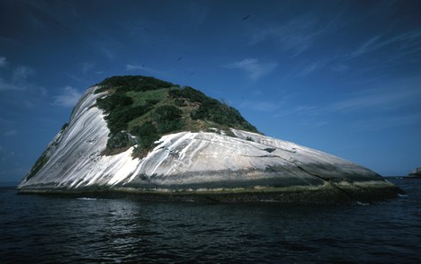 Foto: Acervo Mona Ilhas Cagarras 