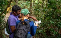 Monitora lança publicações sobre monitoramento do Pirarucu, Quelônios, Castanha, Caça de subsistência e aves e mamíferos de áreas com Manejo Florestal