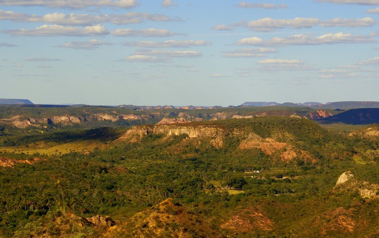 MOSAICOABRE SITE.jpg