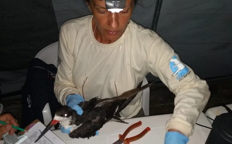 Danielle Paludo é mestra pela UFPB - Foto: Divulgação