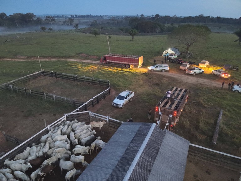 WhatsApp Image 2025-06-15 at 16.14.22.jpeg