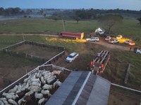 Nota de Repúdio: Criminosos atacam frigorífico e roubam gado ilegal apreendido pelo ICMBio no Acre