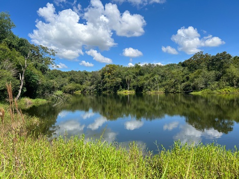 Lagoa na área de amortecimento da Rebio das Perobas onde o Hydrometra foi encontrado - Foto: Divulgação