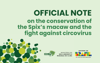 Official Note on the conservation of the Spix’s macaw and the fight against circovirus