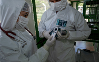 OFFICIAL STATEMENT - ICMBio clarifies that it will not euthanize Spix's macaws