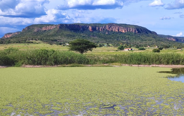 1746028774891 SITE.jpg