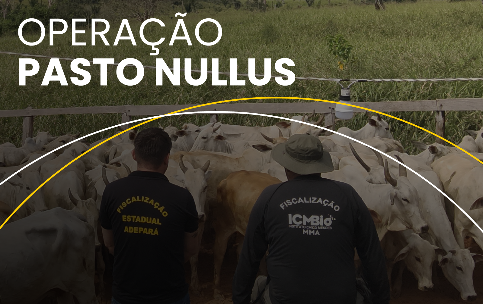 Ação ocorre em área protegida do Pará e integra esforço que reduziu em 98% o desmatamento na unidade de conservação desde 2022