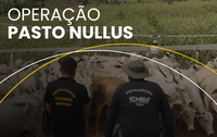 Operação Pasto Nullus: ICMBio combate pecuária ilegal em área protegida da Amazônia