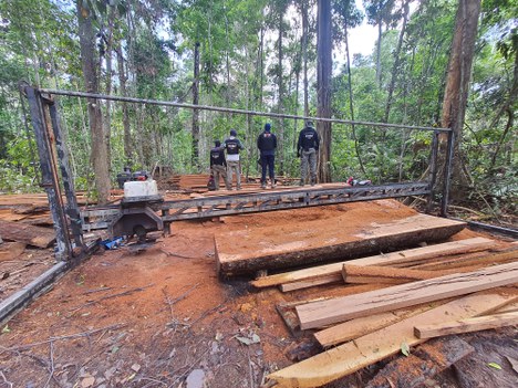 Foto: ICMBio Rondônia