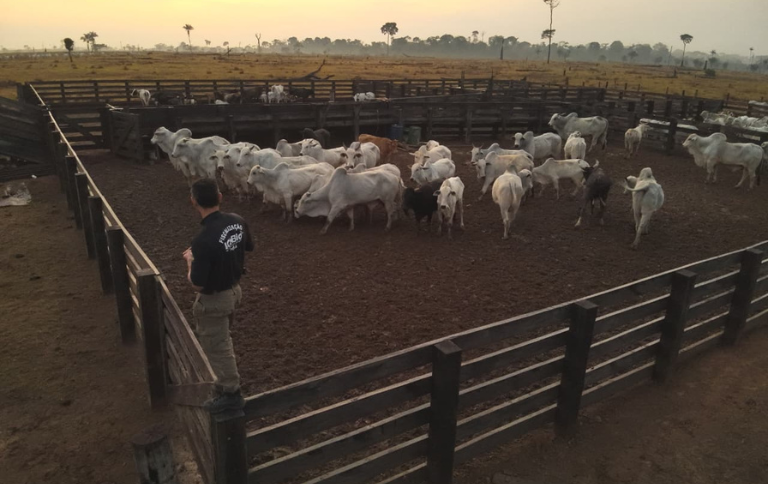 SITE Operação 'Trincheira Verde'.png