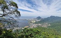 Paineiras-Corcovado: Parque Nacional da Tijuca inaugura trilha com mirante e novo acesso ao Cristo Redentor
