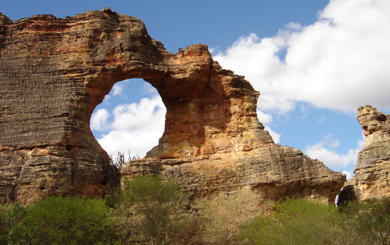SITE parna serra da capivara.png