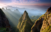 Parque Nacional da Serra dos Órgãos (RJ) concentra a maior riqueza de flora conhecida entre áreas protegidas do Brasil