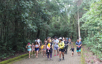 Parque Nacional de Brasília celebra 63 anos da cidade com atividades de educação ambiental