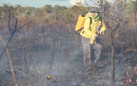 Parque Nacional de Brasília tem nova queima controlada nesta 2ª feira