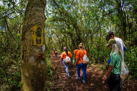 Sinalização padronizada da Rede Brasileira de Trilhas orienta o visitante e reforça a integração do Parque Nacional do Superagui à Trilha da Grande Reserva Mata Atlântica. Foto: Divulgação/Parna do Superagui 